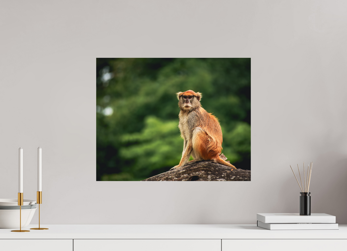Forest Lookout
