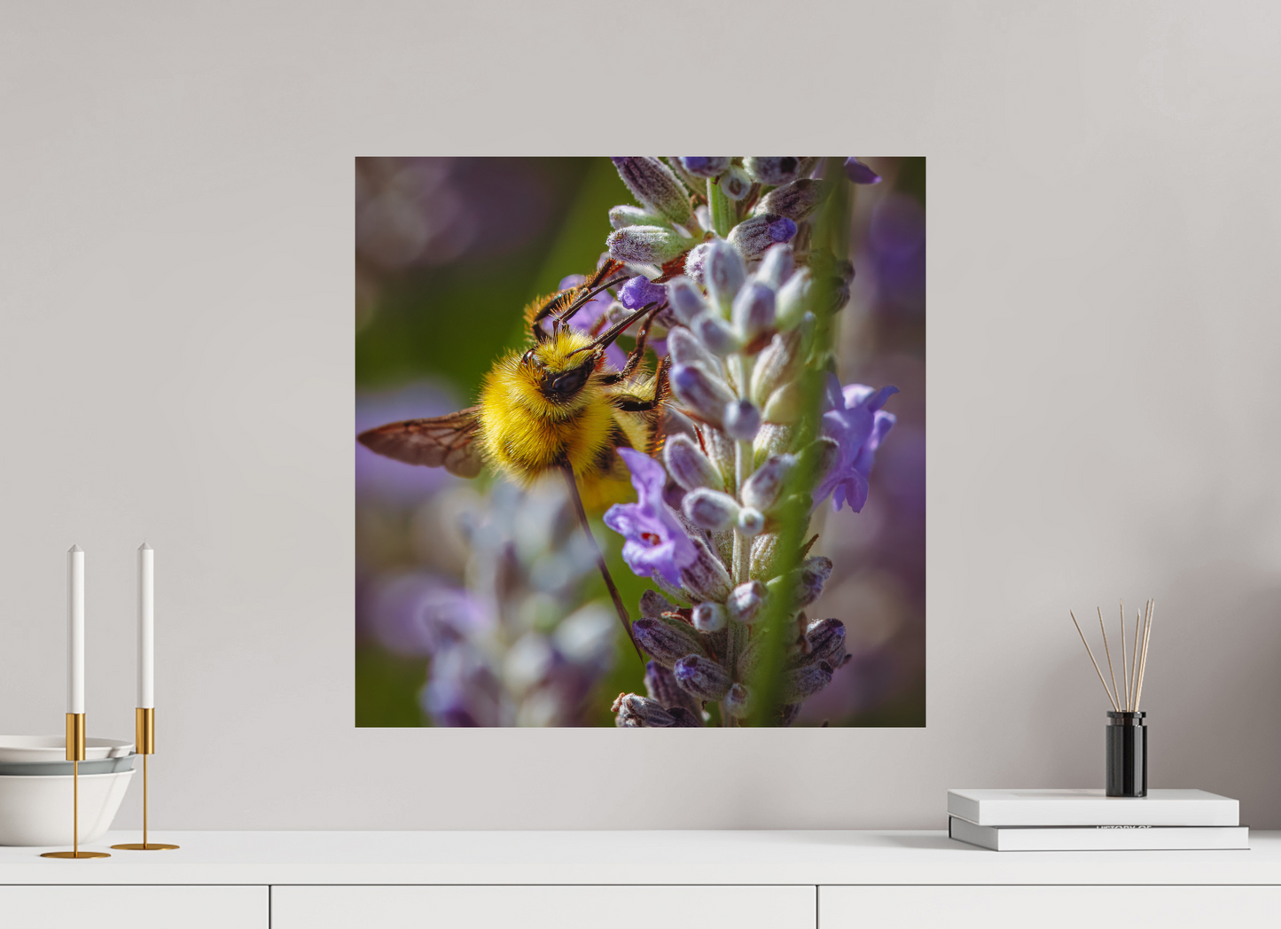 Lavender Landing