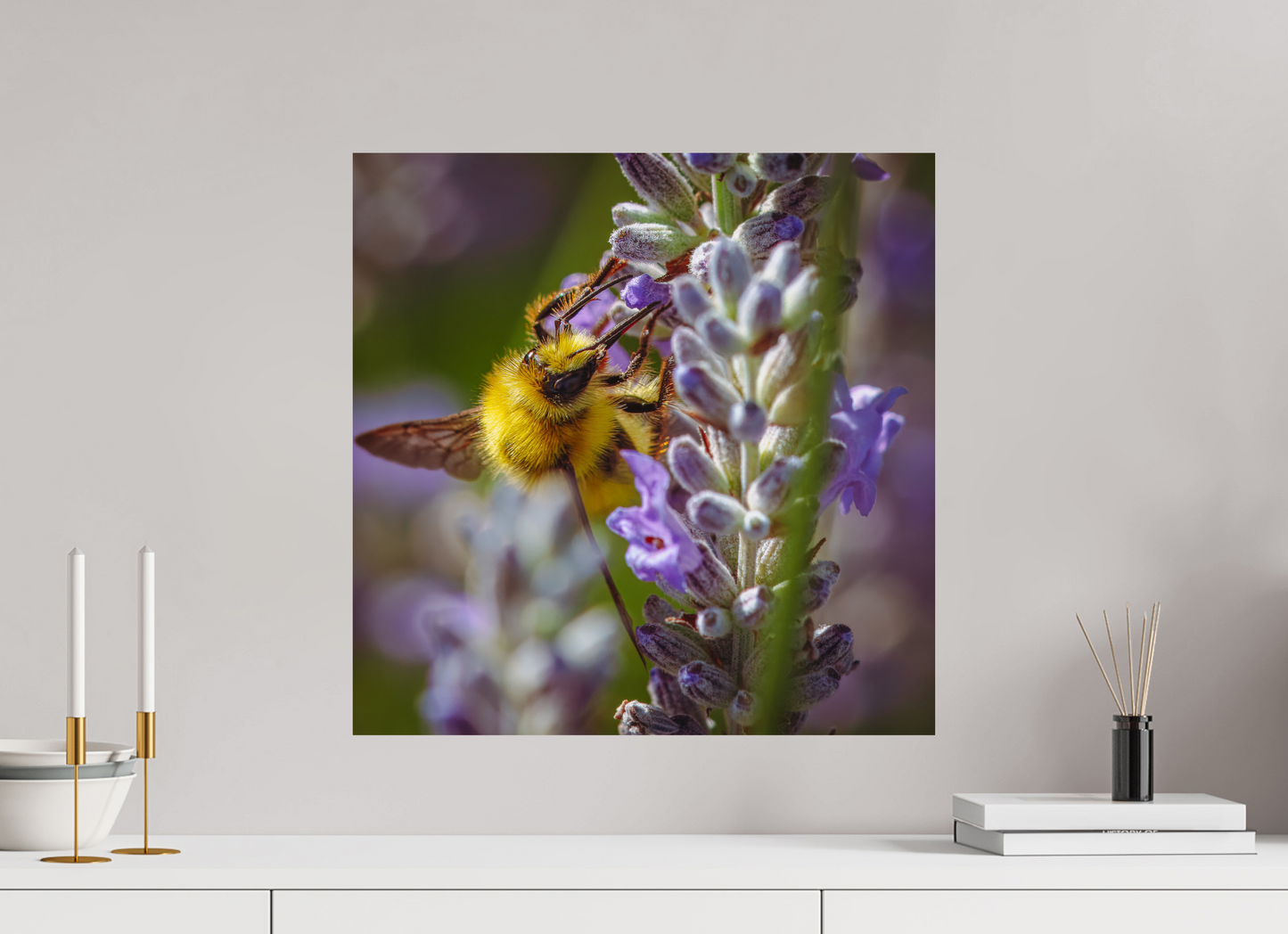 Lavender Landing