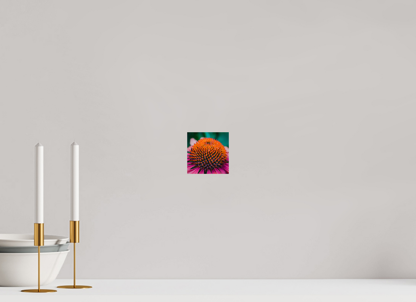 Echinacea Ember