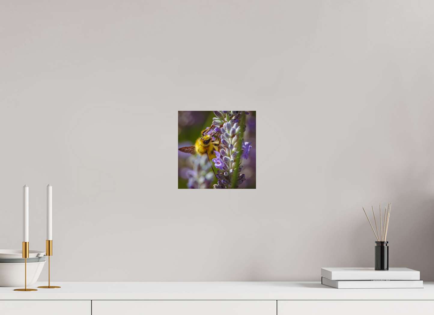 Lavender Landing