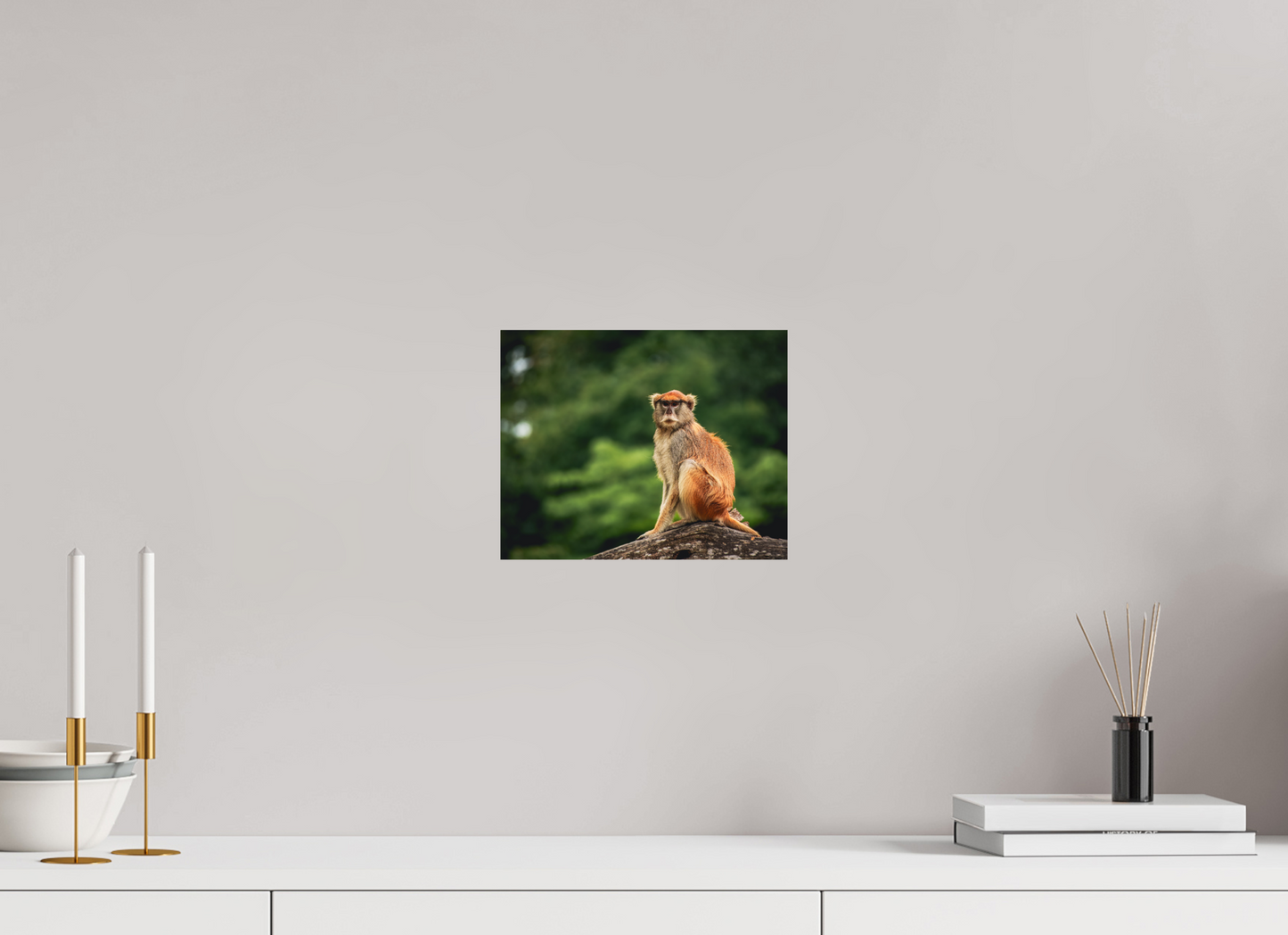 Forest Lookout