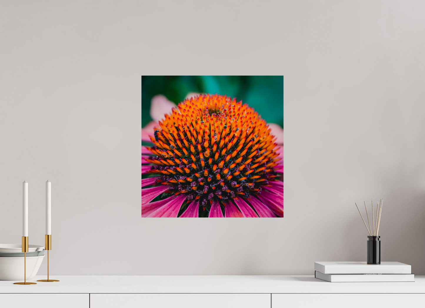 Echinacea Ember