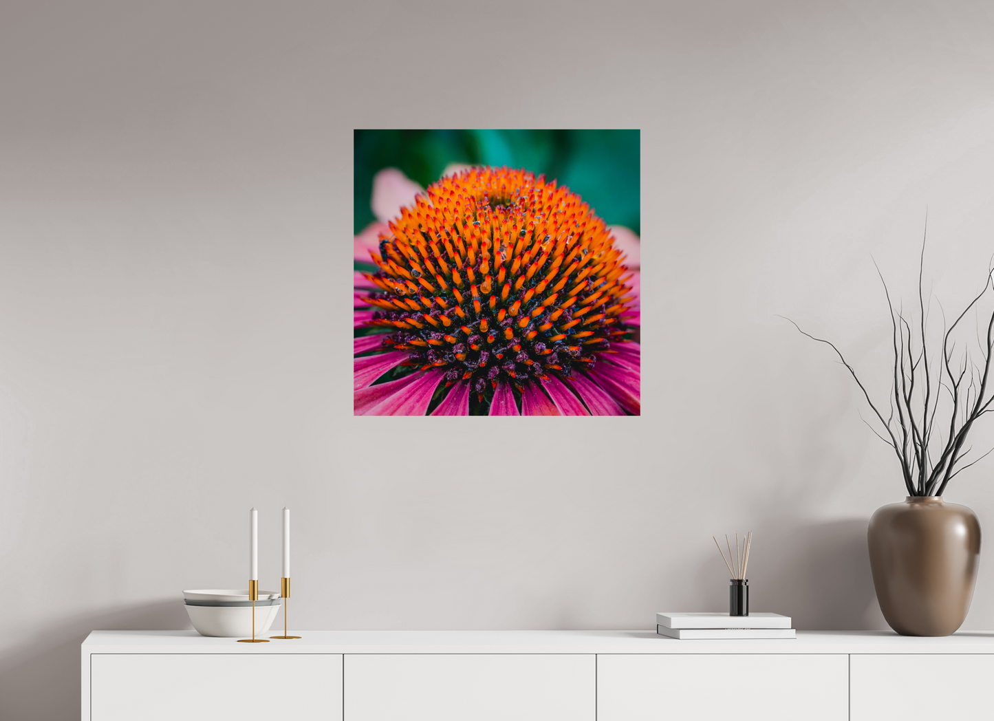 Echinacea Ember