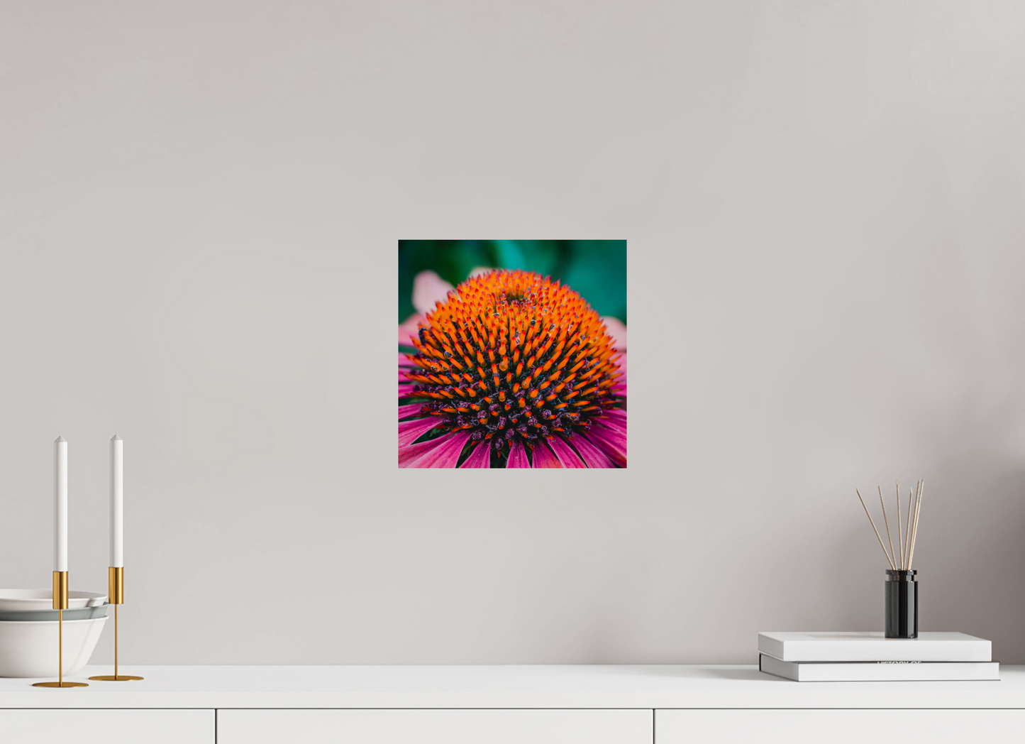 Echinacea Ember