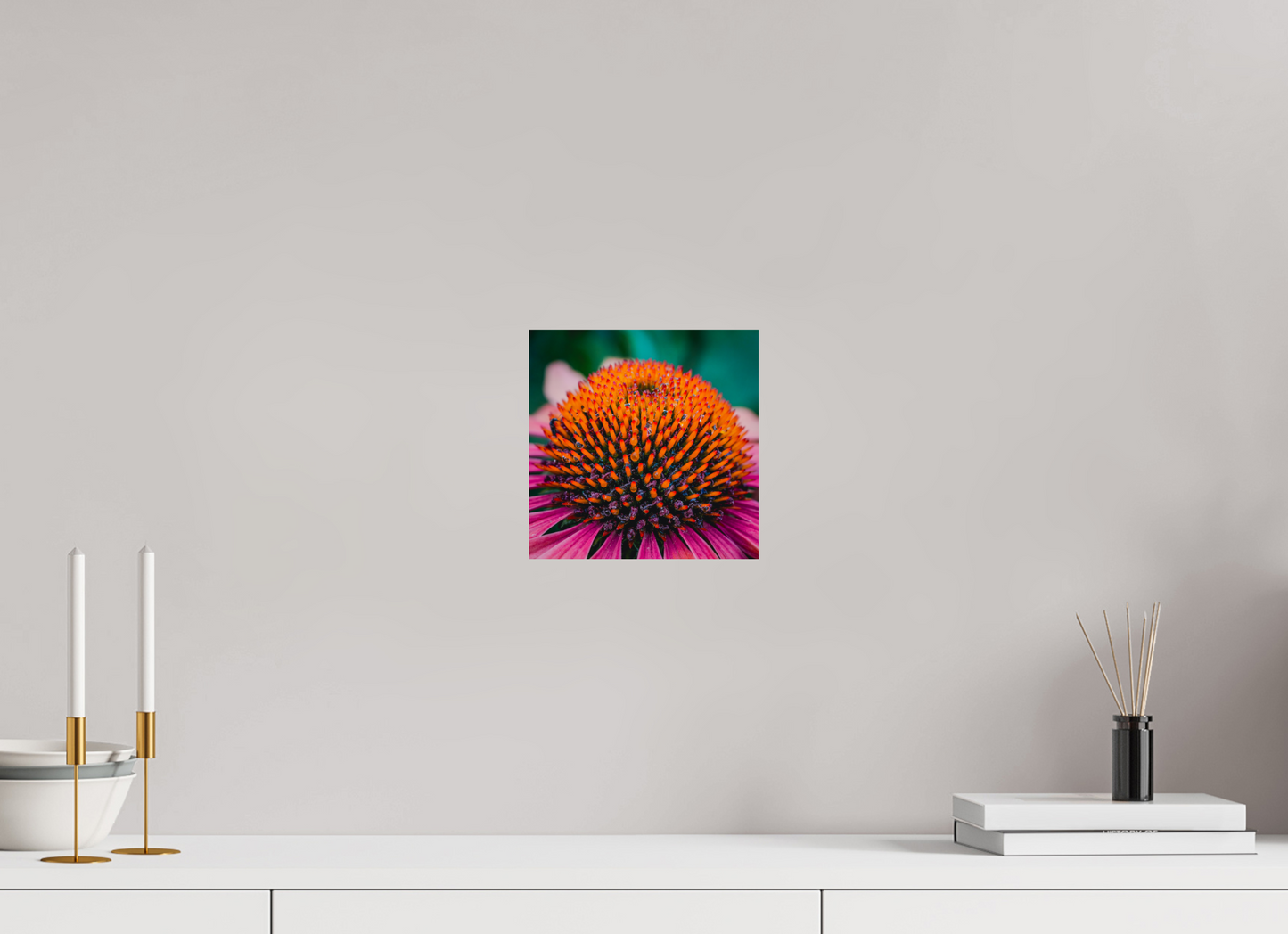 Echinacea Ember