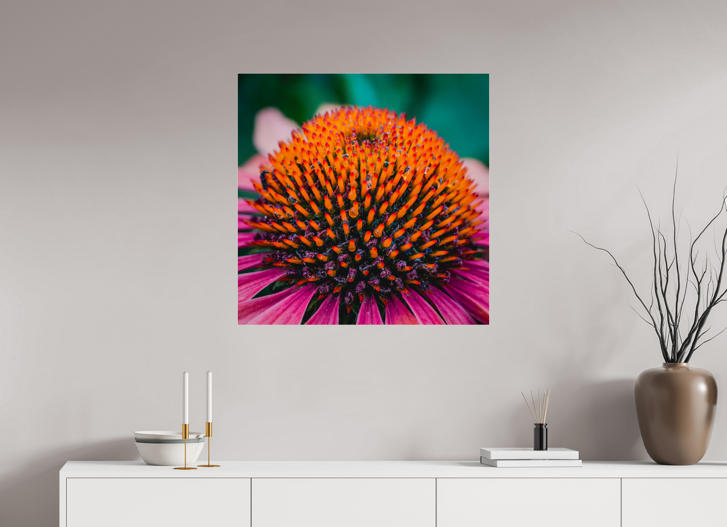 Echinacea Ember