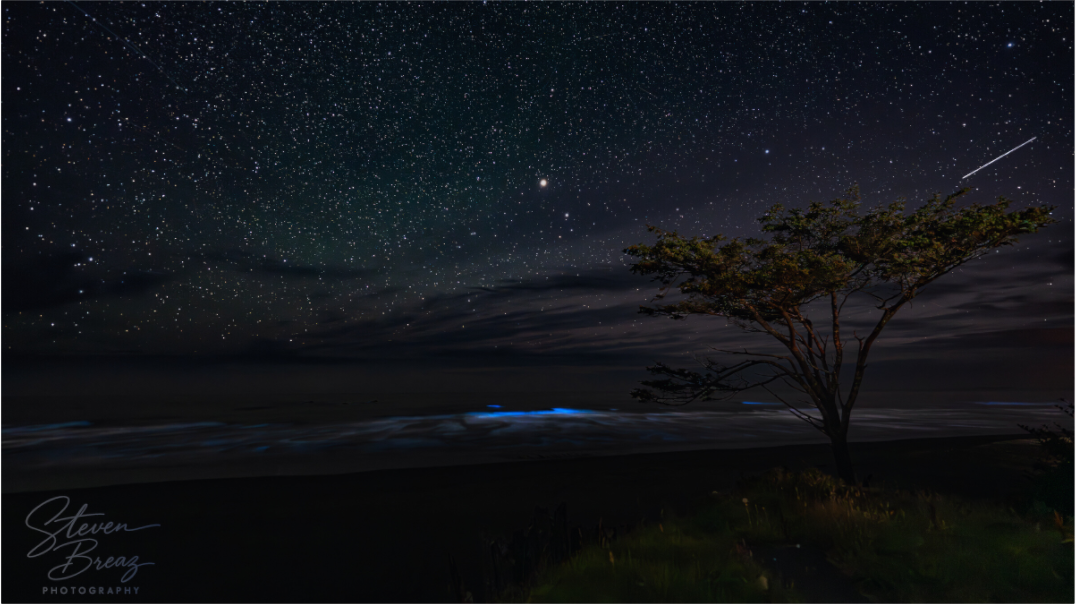 Whispers of the Tide
