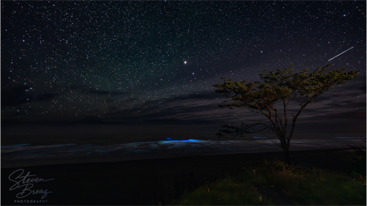 Whispers of the Tide