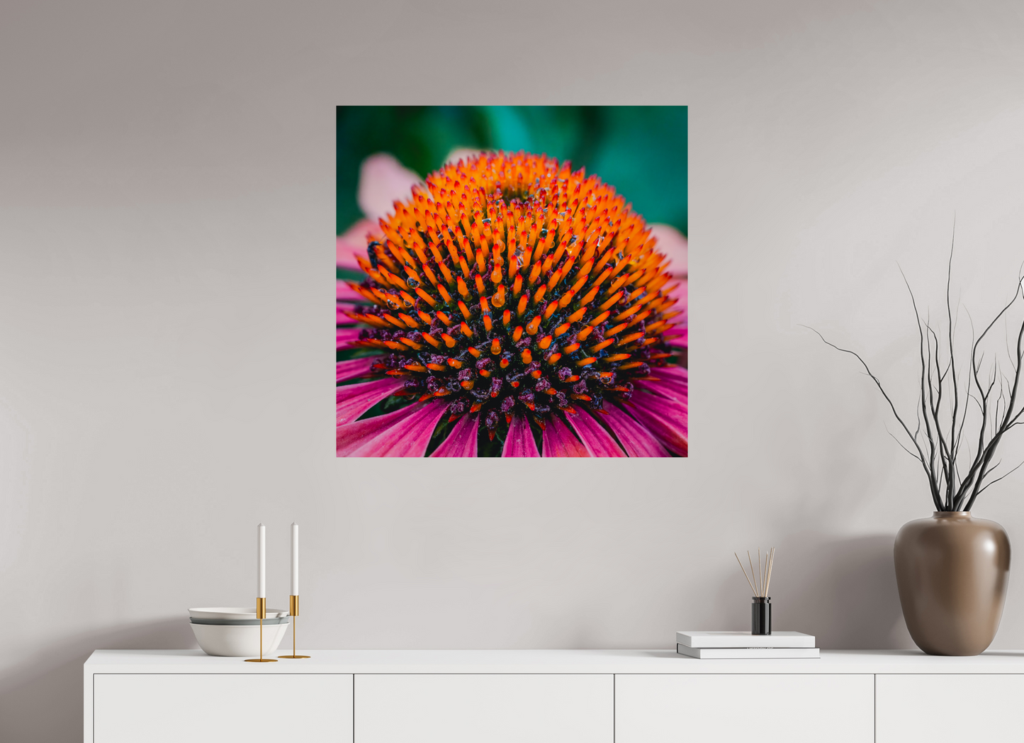 Echinacea Ember