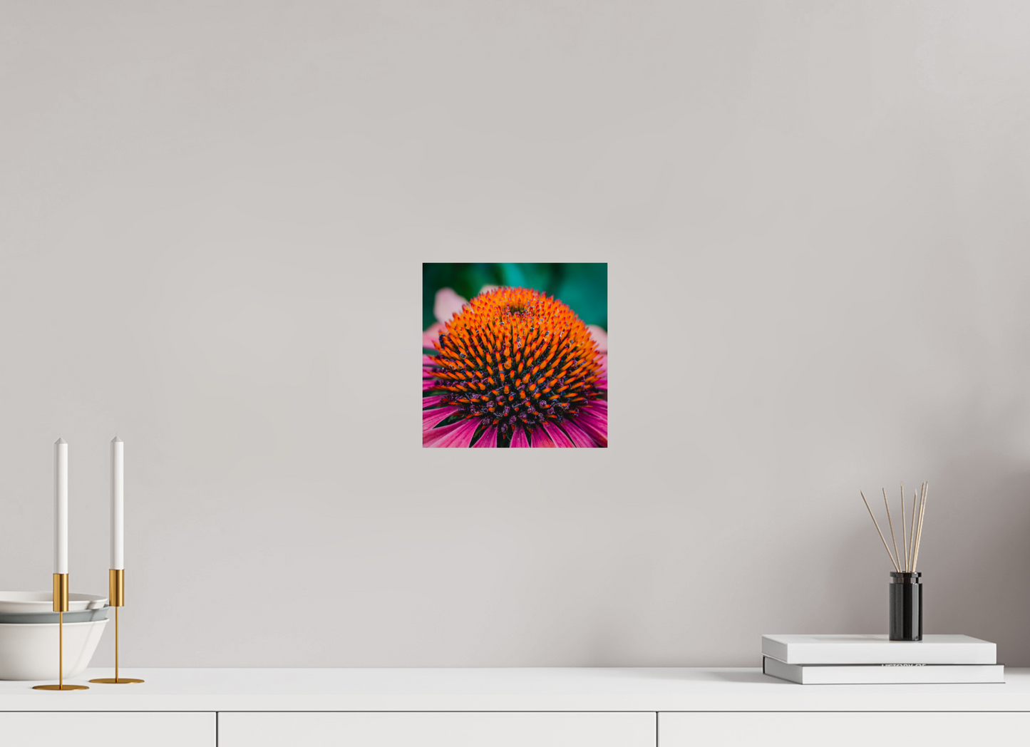 Echinacea Ember