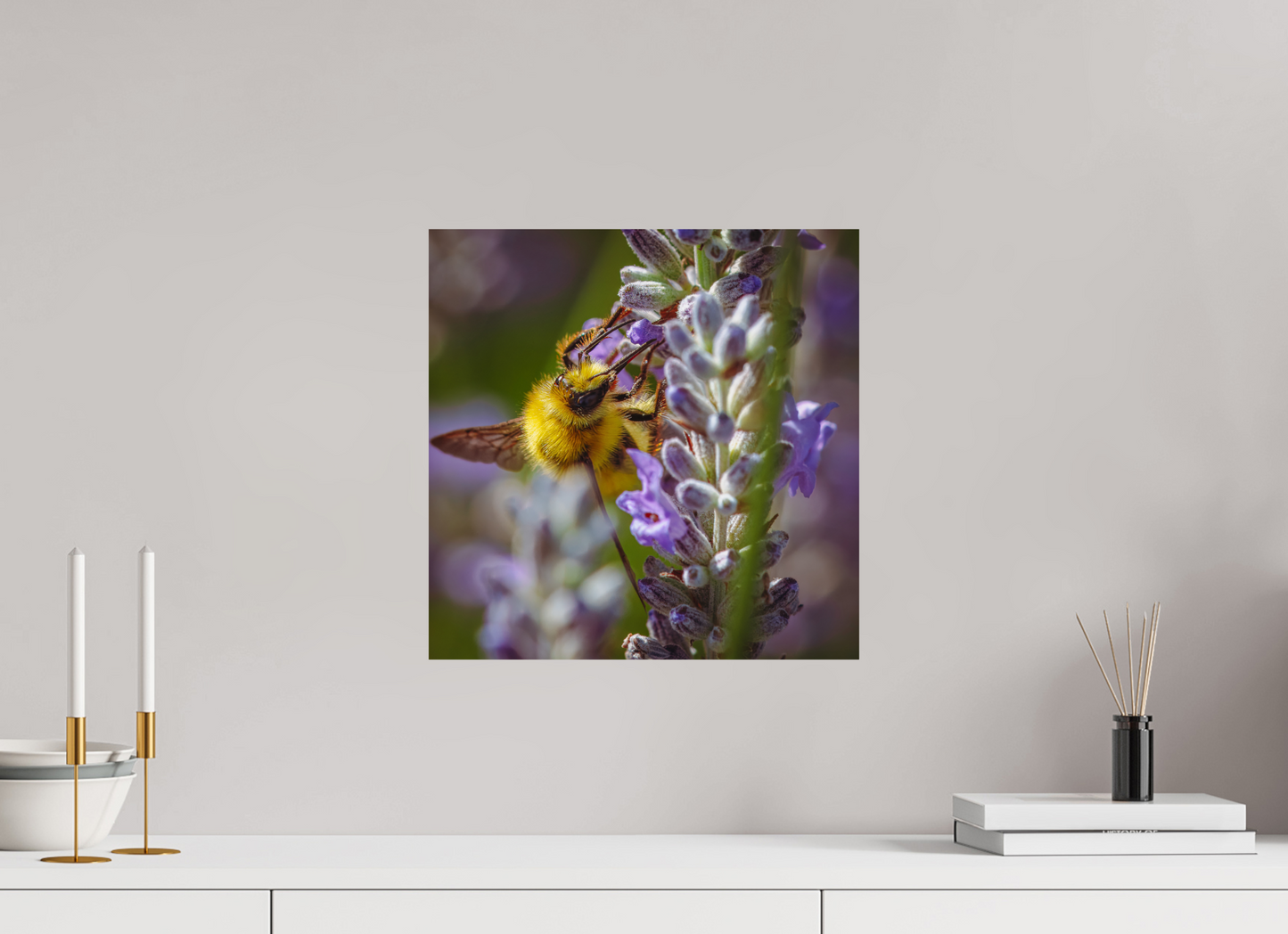 Lavender Landing