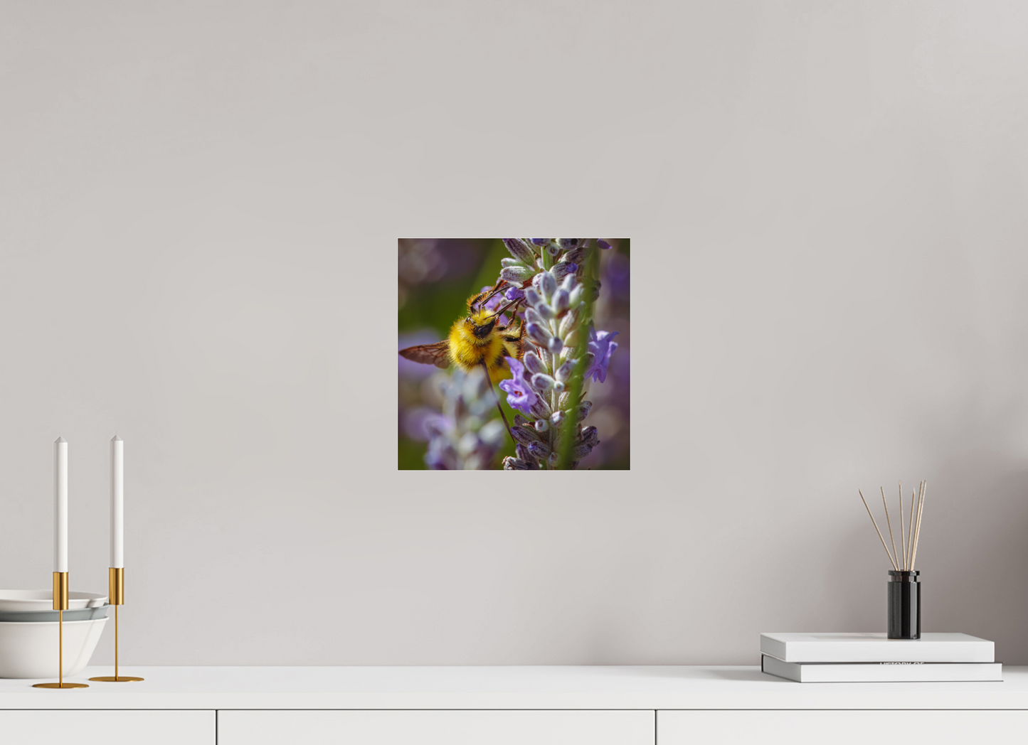 Lavender Landing