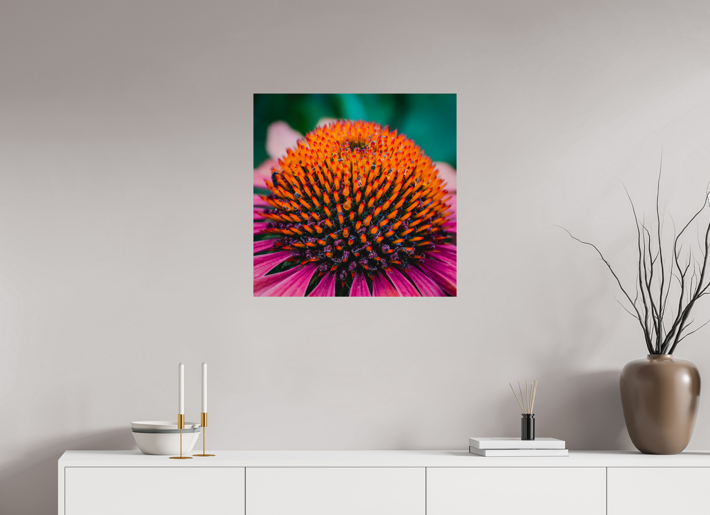 Echinacea Ember
