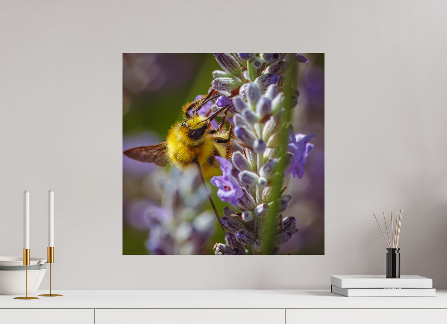 Lavender Landing