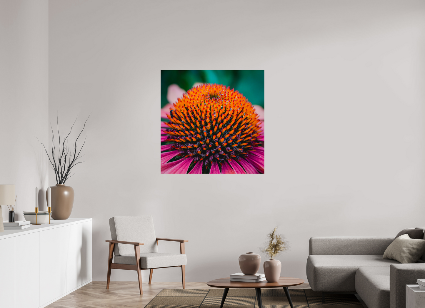 Echinacea Ember