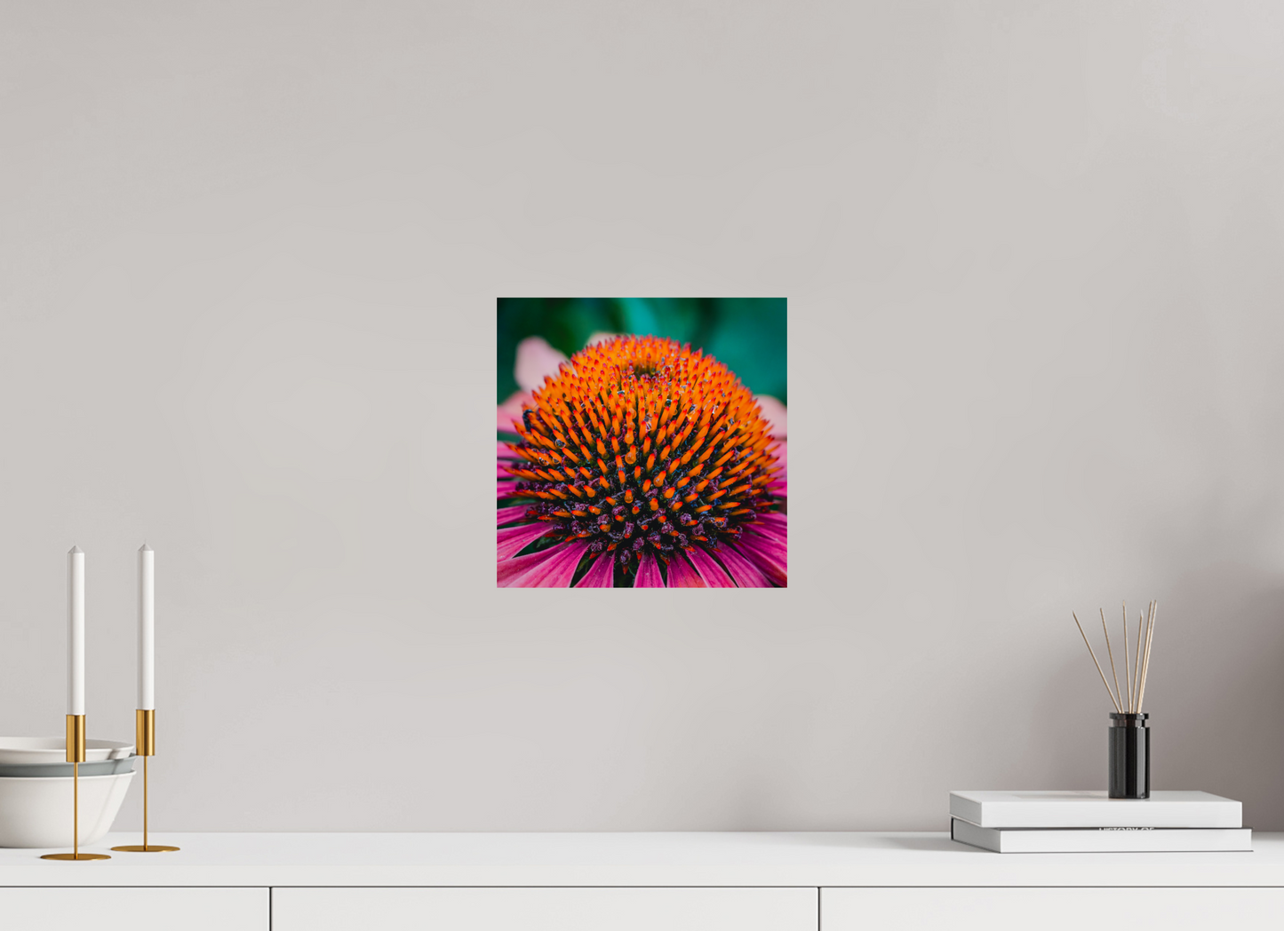 Echinacea Ember
